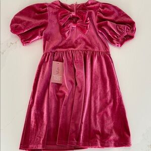 Ivy City Co. Velour Dress